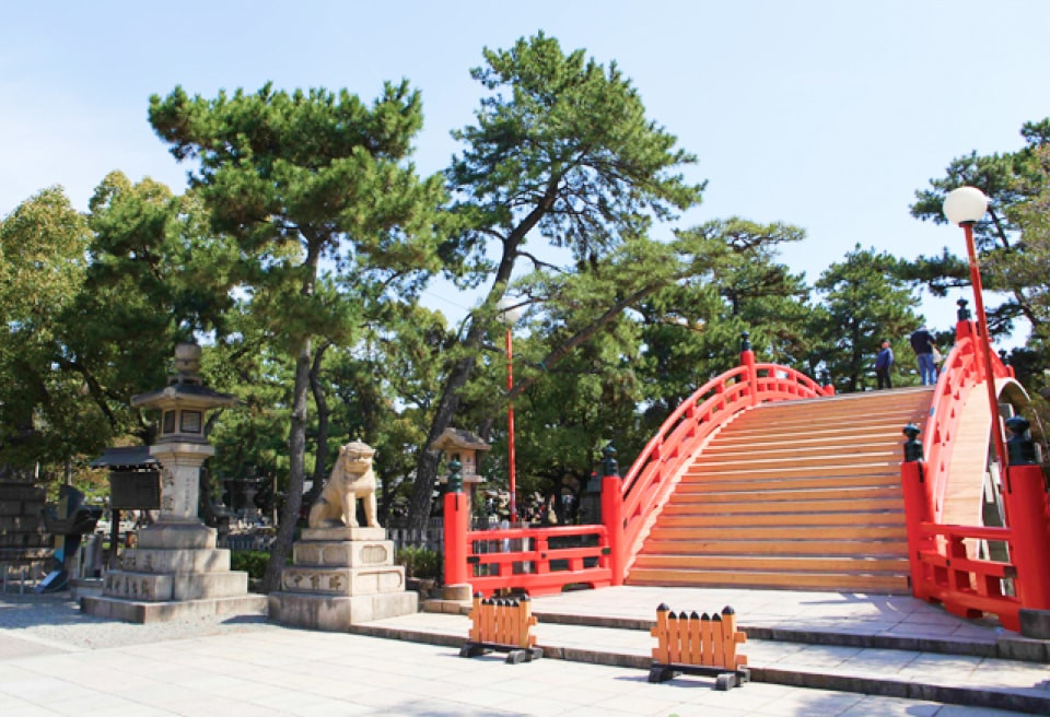 万代池公園の桜