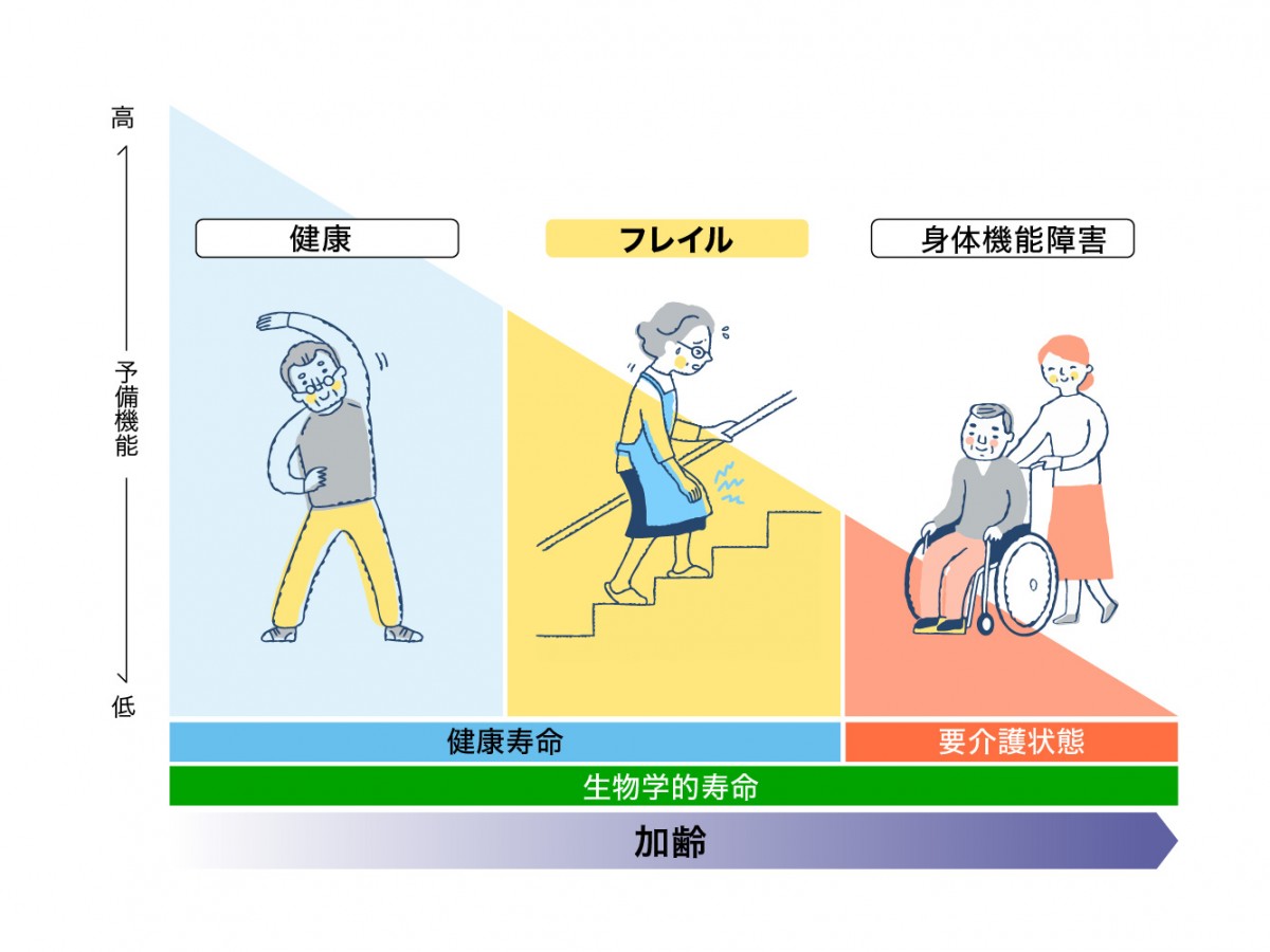 フレイルが身体機能障害と健康の中間の状態を表す図